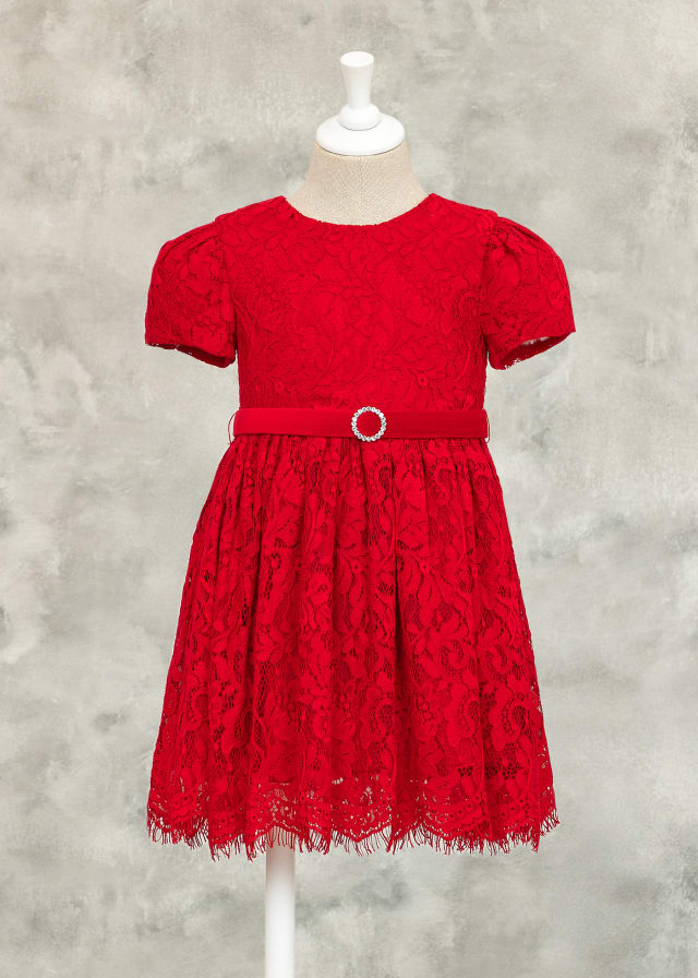 Red Lace Dress 12 Red Lace Dress 12